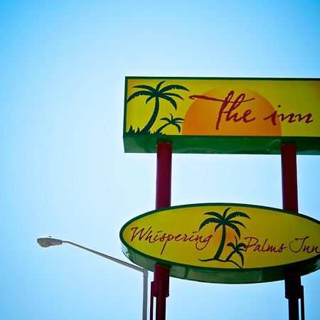 Whispering Palms Inn Del Rio Kültér fotó
