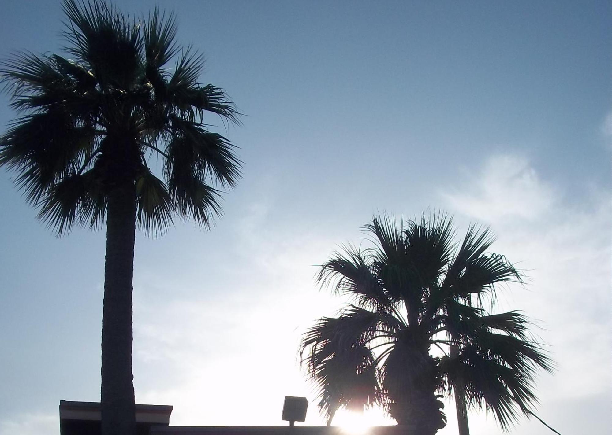 Whispering Palms Inn Del Rio Kültér fotó